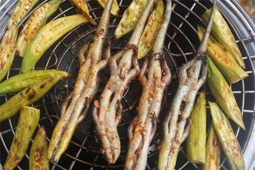 'Lộc trời' bò ra từ bụi rậm, xưa ai cũng tránh xa không dám ăn, nay bỗng thành đặc sản nổi tiếng khắp vùng, 350.000 đồng/kg