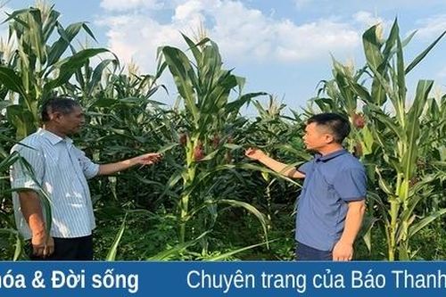 Hà Bình nỗ lực về đích nông thôn mới nâng cao