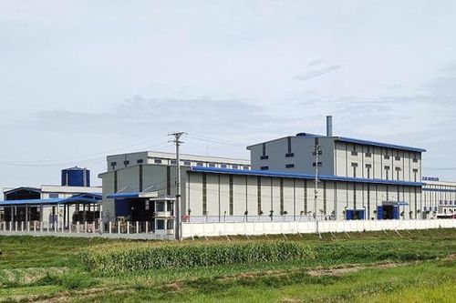 Khởi tố vụ án hình sự doanh nghiệp 'đại bàng' tại Thanh Hóa