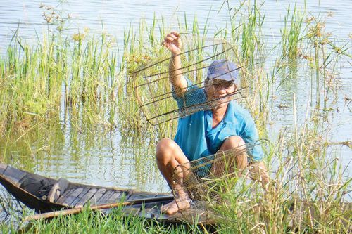 Về sông ăn tôm
