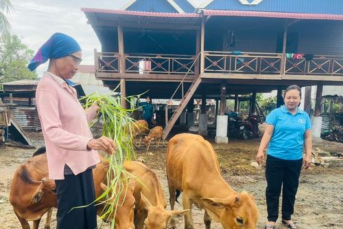 Giảm nghèo theo địa chỉ: Bền vững, thiết thực