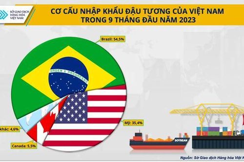 Doanh nghiệp chăn nuôi cần làm gì khi nguồn cung đậu tương từ Mỹ bị thu hẹp?