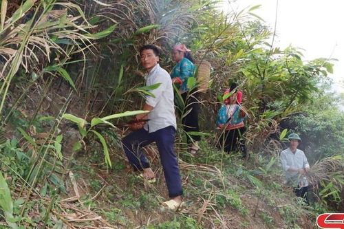 Hỗ trợ các xã vùng cao vươn lên thoát nghèo