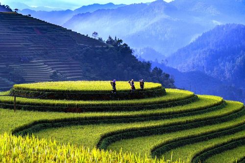 Bản tin Văn hóa - Du lịch ngày 19/10