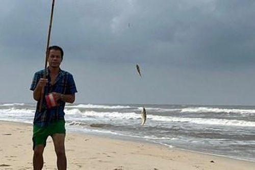 Mưu sinh mùa biển động