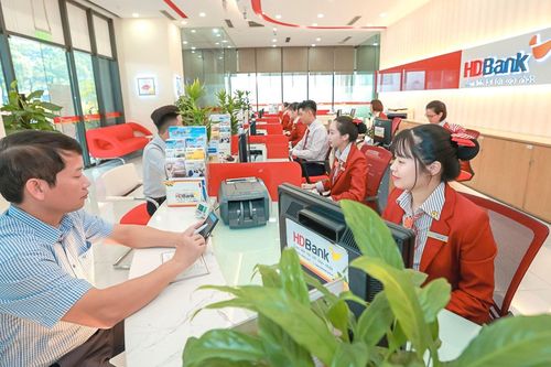 Hãng chứng khoán mà Ngân hàng HDBank (HDB) muốn tham gia góp vốn đang kinh doanh như nào?