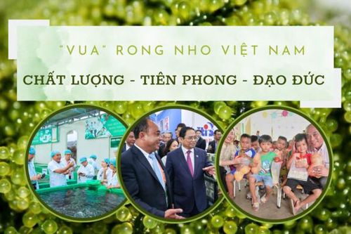 'Vua' rong nho Việt Nam: Chất lượng - Tiên phong - Đạo đức