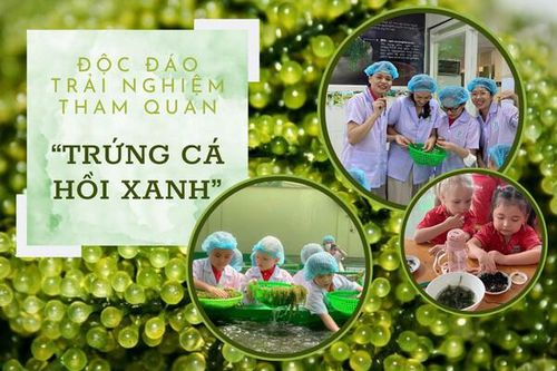 Độc đáo trải nghiệm tham quan 'trứng cá hồi xanh'