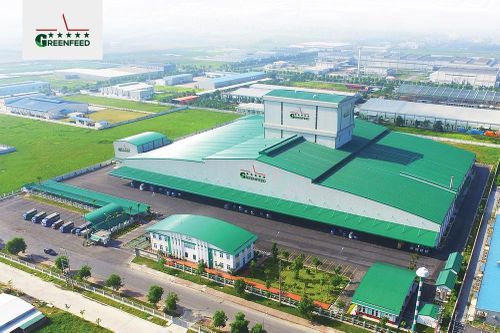 Thương hiệu GreenFeed – 'Doanh nghiệp xuất sắc Châu Á' làm ăn ra sao?