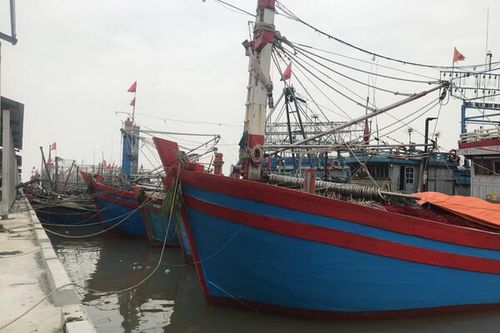 Nghệ An: Tập trung thực hiện các nhiệm vụ, giải pháp chống khai thác IUU