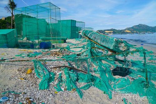 Rác thải bủa vây bãi biển Cam Ranh