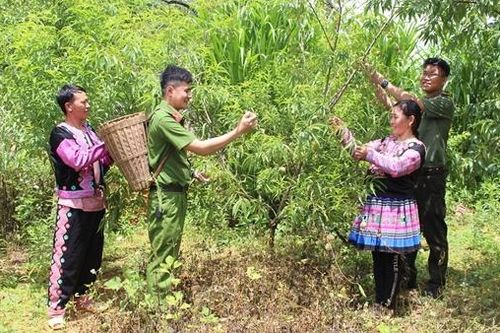 Người Mông ơn Đảng ấm no bản làng (bài cuối)