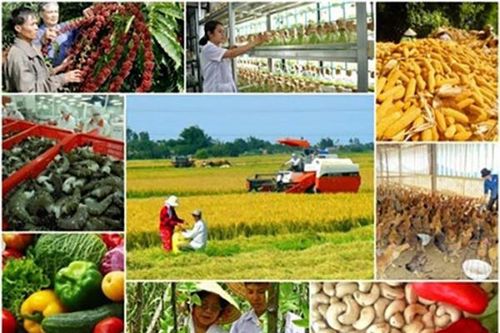 Đề xuất phân loại hợp tác xã theo 4 quy mô