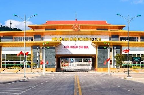 Kiến nghị dừng thí điểm nhập khẩu dược liệu qua cửa khẩu Chi Ma