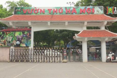 Sẵn sàng phương án an ninh khi hạ rào công viên