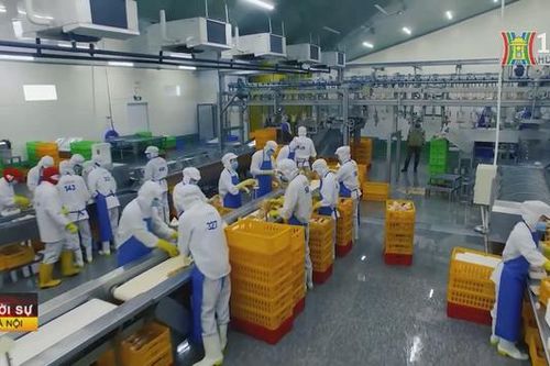1.000 doanh nghiệp nộp thuế lớn nhất năm 2022