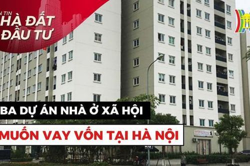 Bản tin Nhà đất và đầu tư | 19/10/2023