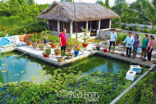 Ốc đảo giữa vùng nước mặn