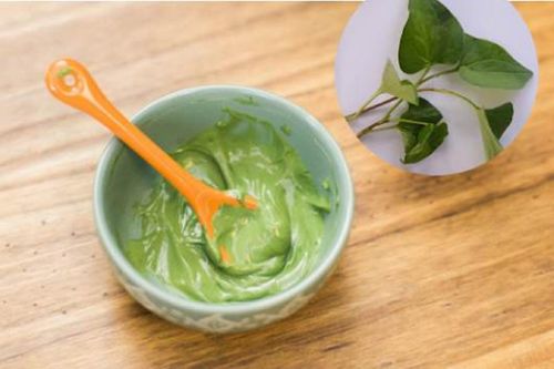 Mặt nạ rau diếp cá có tốt?