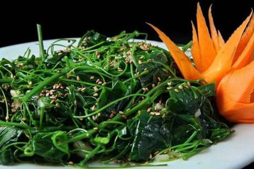 Bất ngờ loại rau là 'vũ khí' chống ung thư và bệnh tiểu đường, được thế giới ca ngợi là rau trường thọ, mọc đầy vườn quê Việt Nam
