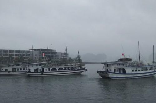 Quảng Ninh tạm dừng cấp phép phương tiện thủy ra khơi từ 15h ngày 19/10