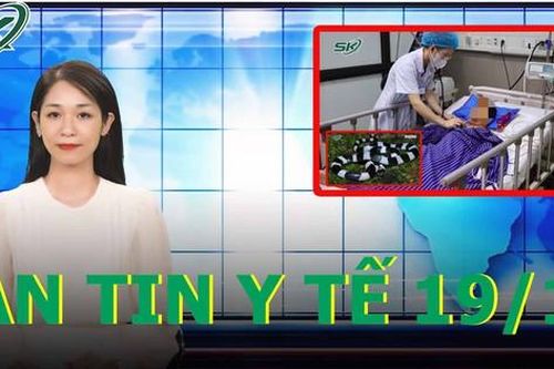 Bản tin y tế 19/10: Bé trai 7 tuổi liệt toàn thân vì bắt rắn độc chơi