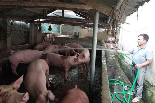 Huyện miền núi Thanh Sơn chăm lo cho đồng bào dân tộc thiểu số