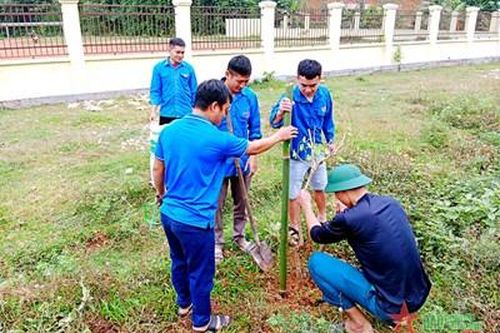 Khi chi bộ khéo lãnh đạo