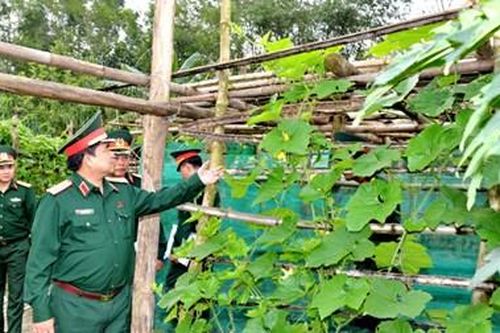 Nâng cao chất lượng công tác hậu cần, đáp ứng yêu cầu nhiệm vụ