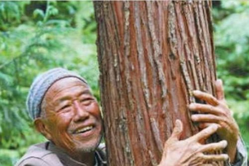 Nhặt được khúc gỗ lạ, lão nông được khuyên: 'Báo cảnh sát ngay!'