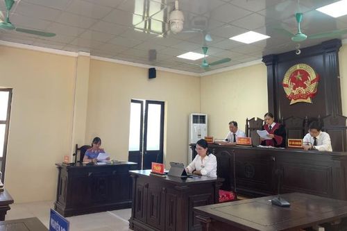 Kiểm sát xét xử vụ án dân sự 'Tranh chấp ranh giới quyền sử dụng đất'
