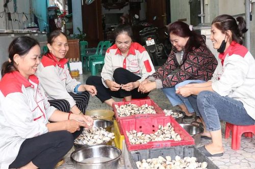 Phụ nữ tự tin, vươn lên làm chủ từ sinh kế phù hợp