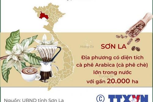 Lễ hội Cà phê Sơn La quảng bá hương vị núi rừng Tây Bắc