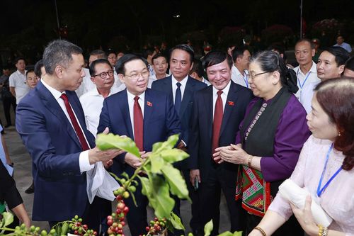 Chủ tịch Quốc hội dự khai mạc Lễ hội Càphê tỉnh Sơn La lần thứ nhất
