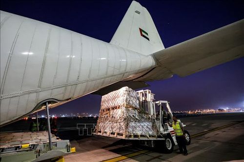 WHO kêu gọi tổ chức thêm nhiều chuyến hàng viện trợ nhân đạo vào Dải Gaza
