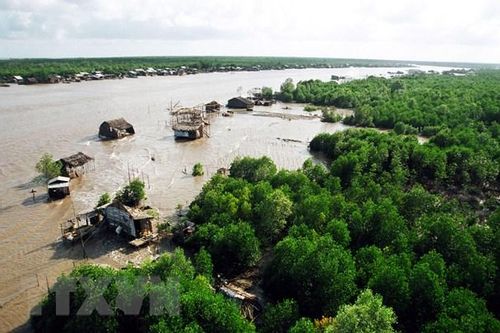Dịch vụ hệ sinh thái: Giải pháp bảo tồn đa dạng sinh học