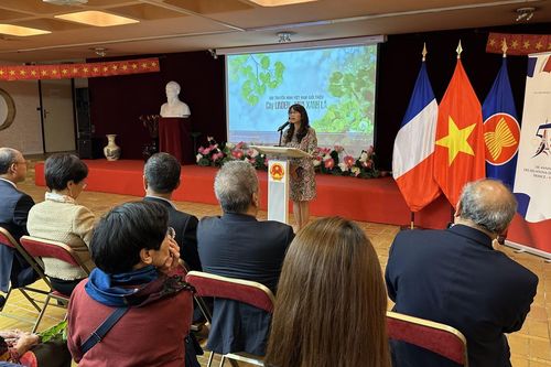 Ấn tượng tốt đẹp về 'Cây Linden mùa xanh lá'