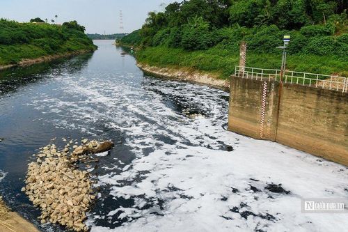 Nước sông Nhuệ ô nhiễm trầm trọng, chảy ngược ra sông Hồng