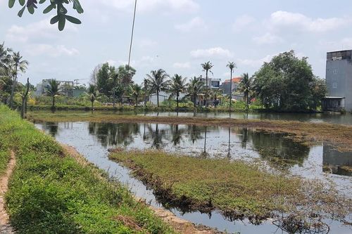 TPHCM: Đẩy nhanh tiến độ cấp sổ hồng cho người dân tự phân lô, tách thửa