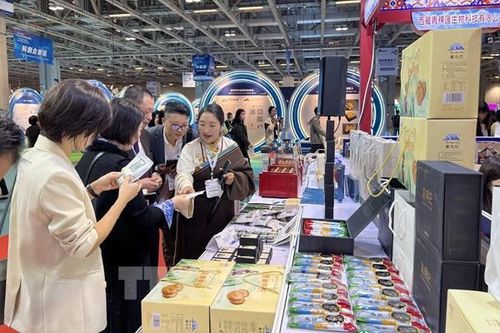 Doanh nghiệp Việt tìm kiếm cơ hội đầu tư tại Macau (Trung Quốc)