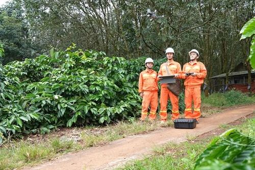 Trợ thủ của lính truyền tải
