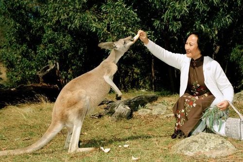 Việt Nam - Australia: Hợp tác bền chặt trên hành trình thúc đẩy bình đẳng giới