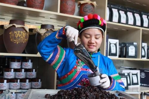 Những tấm gương phụ nữ dân tộc thiểu số làm kinh tế giỏi