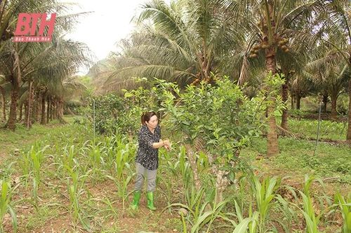Để ngành nông nghiệp tỉnh nhà phát triển hiện đại, bền vững