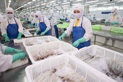 Xuất khẩu tôm trên đà phục hồi, Sao Ta (FMC) thu về gần 4.000 tỷ sau 9 tháng
