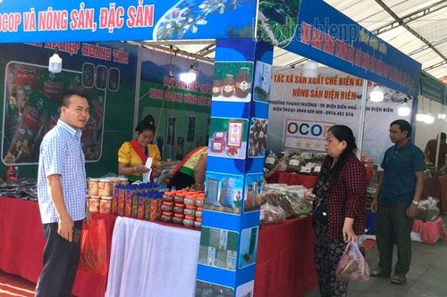 Điện Biên giới thiệu sản phẩm OCOP và nông sản tại Hải Phòng