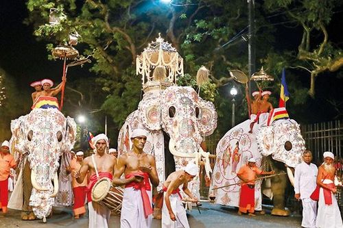 Khám phá thiên nhiên ở Sri Lanka