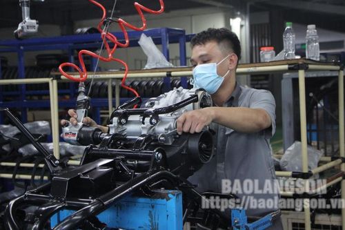 Thành viên Câu lạc bộ Doanh nhân nữ: Năng động, sáng tạo đưa doanh nghiệp vươn lên