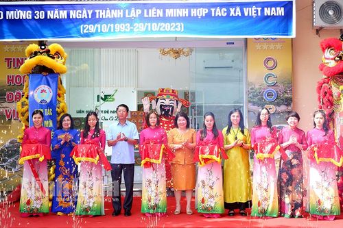 Khai trương gian hàng trưng bày, giới thiệu các sản phẩm dê Ninh Bình