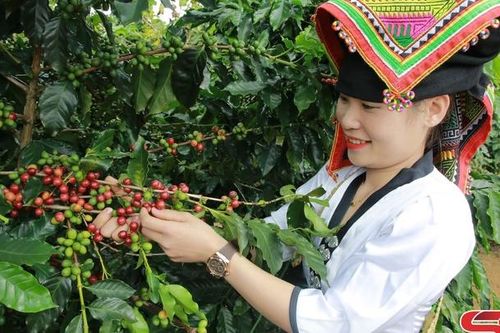 Nhiều mô hình 'Dân vận khéo' ở Mai Sơn